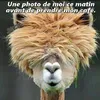 devegas.gigi