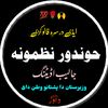 حوندور نظمونہ