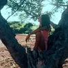 laysa_daily2