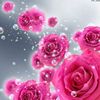 khair_alwaer