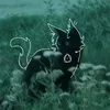 nadiadistefano._