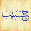 bouzerouata.habib