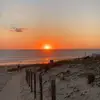 carolinamartins1236
