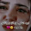 user8557561656923