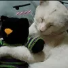 milky.cat86