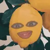 laranjinhadossantoslima