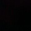 daysi._7