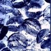 kt05964