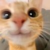 clarzz_hyper