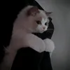 babiiwantstobeloved