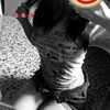 dd_dii20312