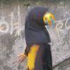 ichaa_munarohh