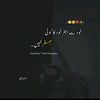 salmanalil14