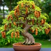 tu.uyn.bonsai