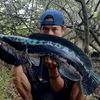 rudi.hartono4242