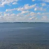 florinhusaru2