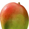 mr.mango301