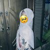 onlly_bill