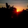 banteng_chan0