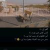 user22158859668012