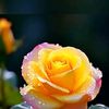 facebook5401
