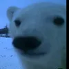 zhyki_