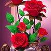 momin.khan0585