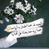 abdalraman347