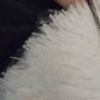 mitaaaaaaaaa_aa