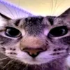 iammarlou41