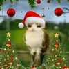 negr124844