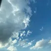 fl_46an