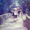 atdepzai17