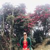 chandrakhadka446