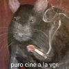 omar12789