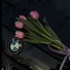 mimomohamed_do