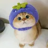buidong58