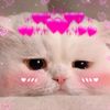 🦋~SoNu~🦋