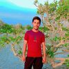 user809240616