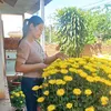 hoa.trinh.n91
