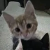 jxst_samira1
