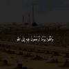 mohamede8993