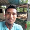 alie32391