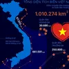 hoanghacz