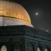 adamnouh326