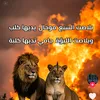 mamat.mohammed1