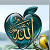 mohsinnadeem029