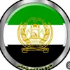 shayegh.ghorbani1