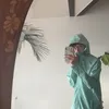 paul_ste14