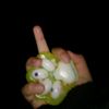 al_in_a9